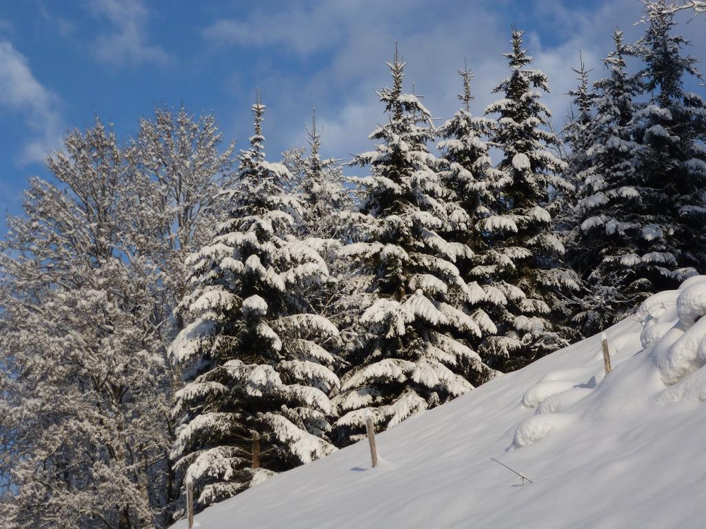 Ripper Saalbach-Hinterglemm