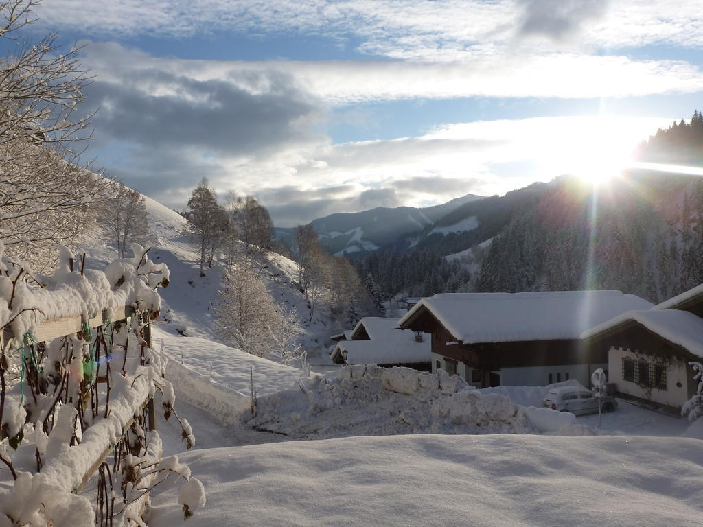 Apartment Ripper Saalbach-Hinterglemm